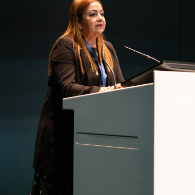 Rossana V. de Souza e Silva, Executive Director, GCUB