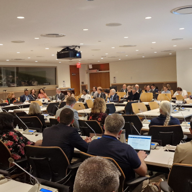 From Idea to Action side event